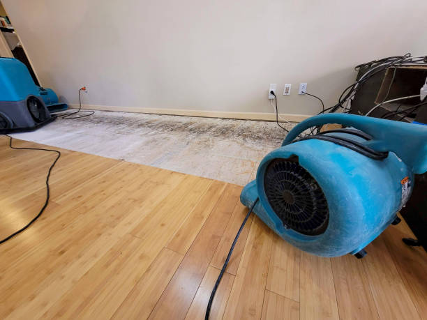 Professional Basement Flood Cleanup technician working in Social Circle, GA